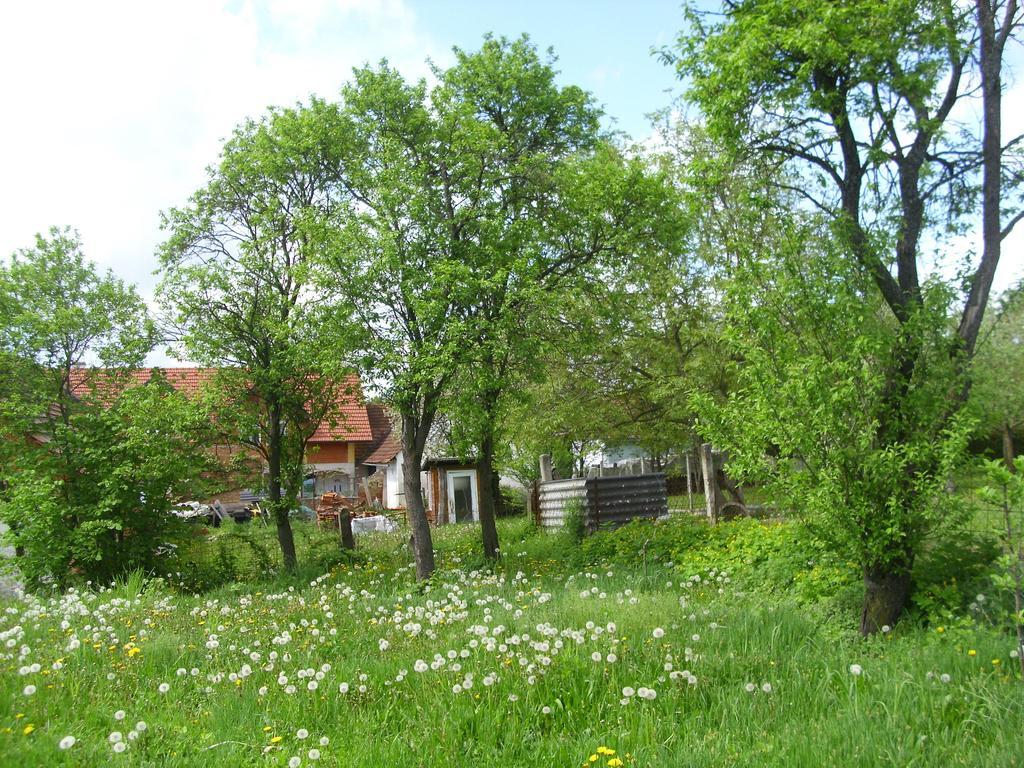 Appartement Rosmarinhof à Heiligenkreuz im Lafnitztal Extérieur photo